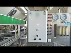 12L Tankless Thermostatic Water Heater Gray Dual Flue Pipe For You